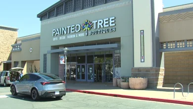 Scottsdale small business owners scramble as Painted Tree Boutiques closes