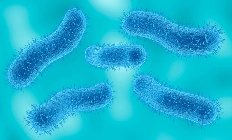 Shigella, diarrhea-causing infection, increasing in US, CDC says