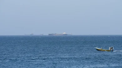 Ships Begin to Cross Strait of Hormuz