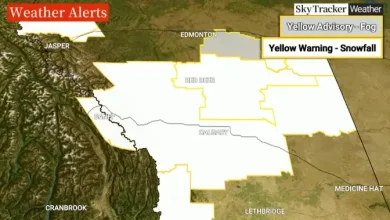 Snowfall warnings issued as another spring storm takes aim at southern Alberta