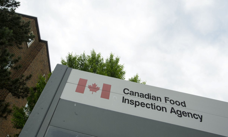 Sobeys recalls some products containing cheese over listeria risk