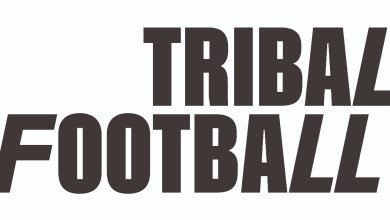 Solanke offers early De Zerbi impressions ahead of Tottenham debut