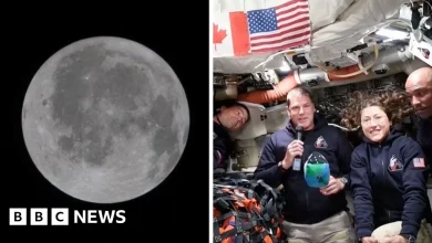 'Something we have never seen before': Artemis II crew describe far side of Moon