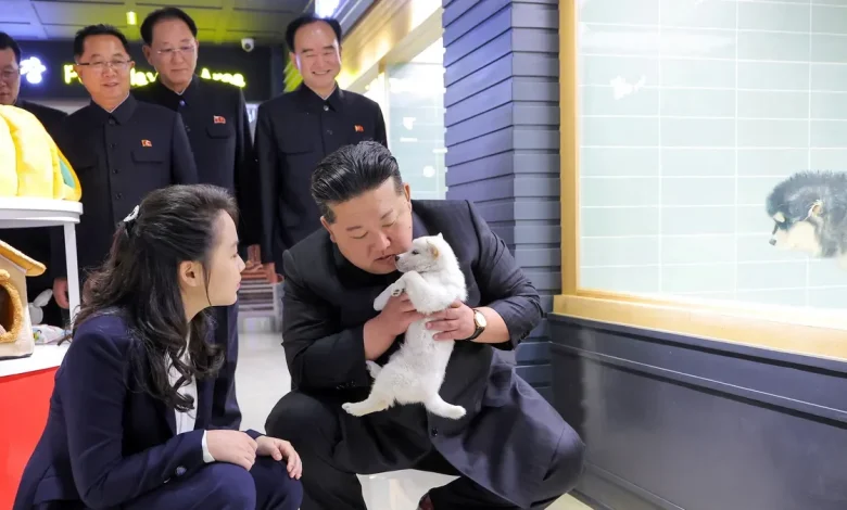 South Korea says intelligence shows Kim Jong Un's daughter is successor