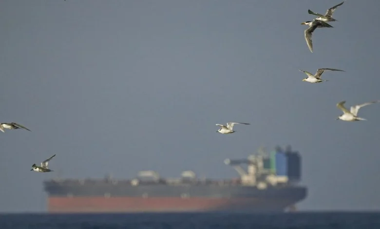 Spoofed Tankers Are Flooding the Strait of Hormuz. These Analysts Are Tracking Them