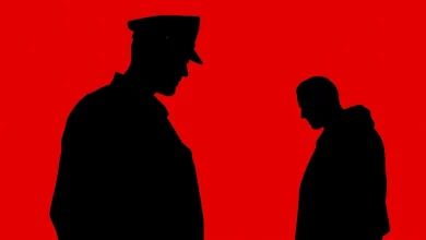 Stephen King Says FX's 'The Shield' Changed TV More Than 'The Sopranos'