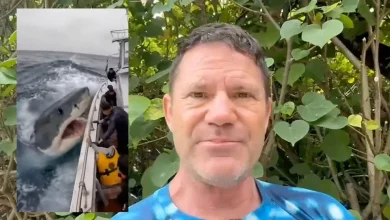 Steve Backshall: AI slop is harming vital wildlife work