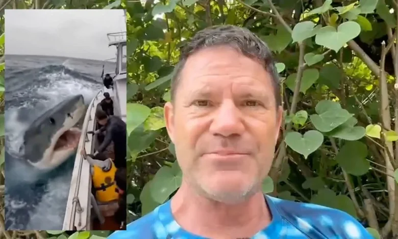Steve Backshall: AI slop is harming vital wildlife work