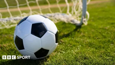 Stuttgart vs Hamburger SV: Bundesliga stats & head-to-head