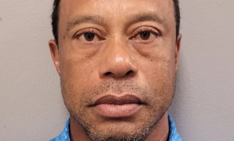 Sweaty, glassy-eyed Tiger Woods blames cell phone use for his car crash