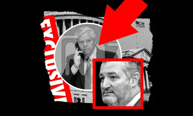 TMZ Turns Its Pitiless Lens on Politicians