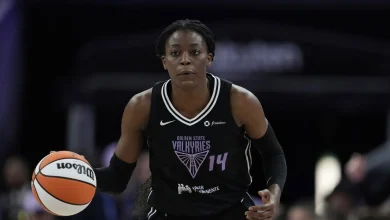 Tempo sign centre Temi Fagbenle to reported one-year, $1-million deal
