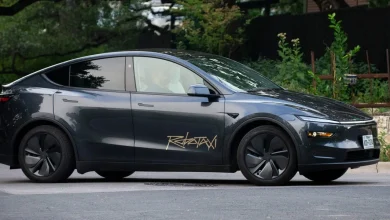 Tesla Robotaxi Passenger Said Car Tried to Pull Over on Highway