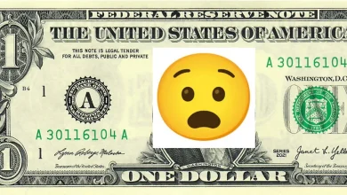 The Dollar’s Special Status: Sources and Threats