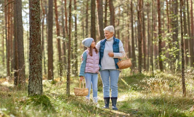 The Middle Wealthy Are the Goldilocks of Retirement, But Where Do You Find the Financial Advice That's 'Just Right'?