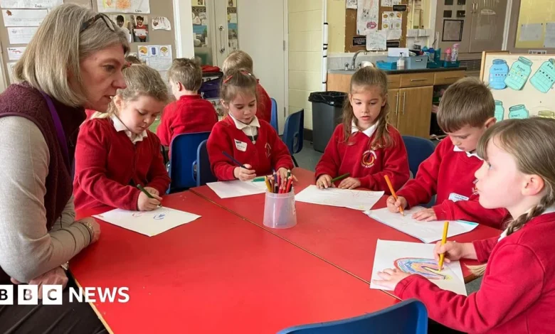 The city where primary school places come with a toilet-training guide