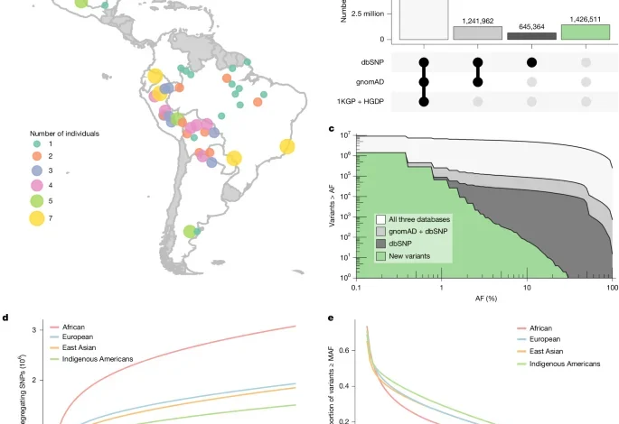 The evolutionary history and unique genetic diversity of Indigenous Americans