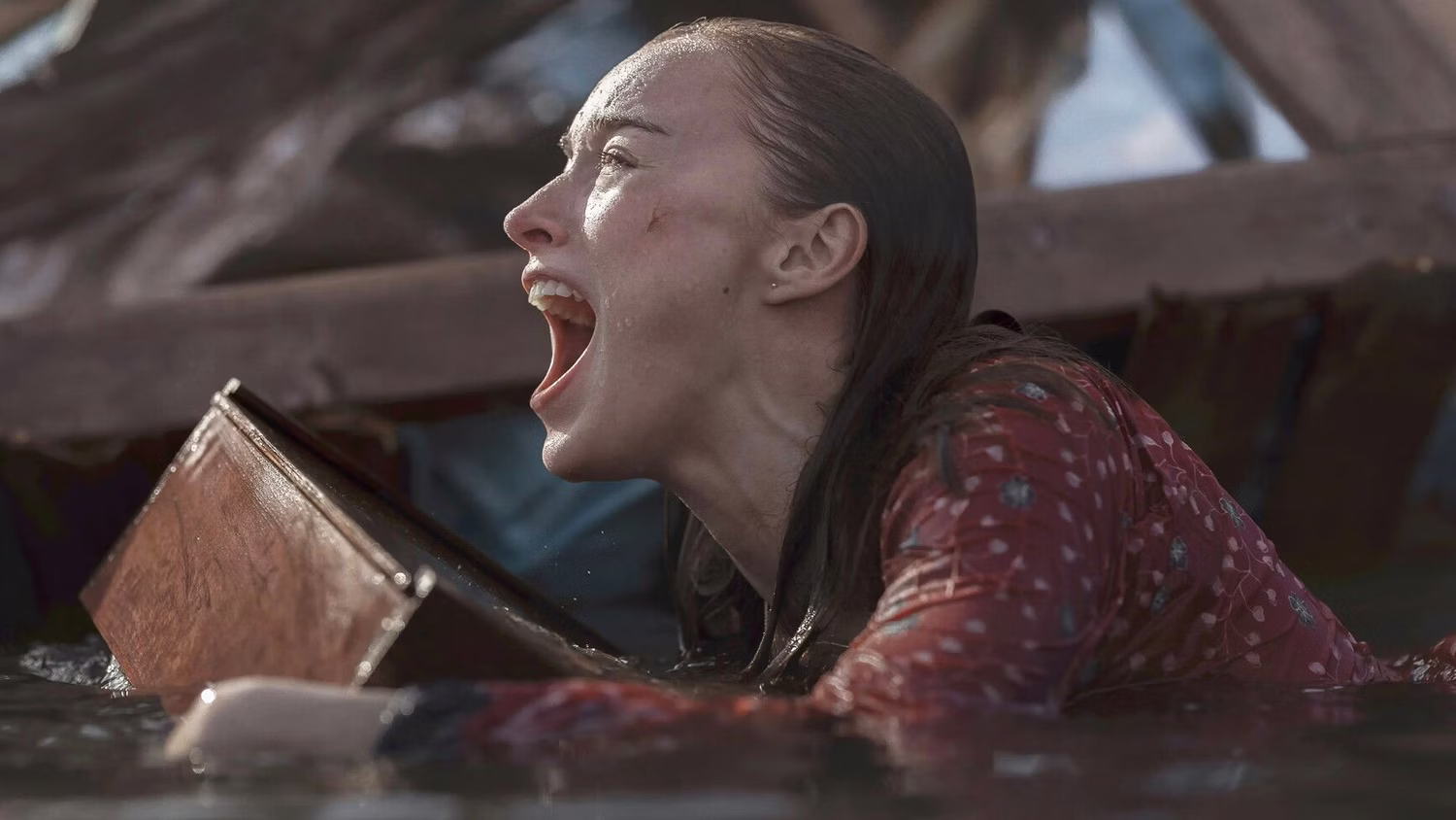 Thrash review: Netflix's shark movie is watered-down chum