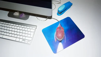 To Succeed with AI, You’ve Got to Nail the Basics