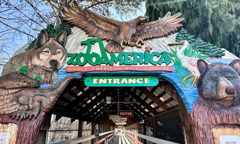 Toddler injured by wolf at Zoo America after crawling under a fence to enclosure