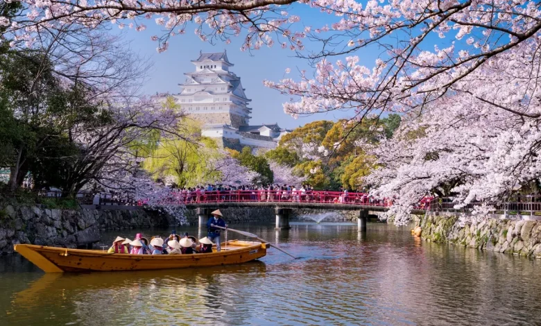 Tourist chaos erupts as cherry blossom festival is shut down, officials triple tax to curb crowds