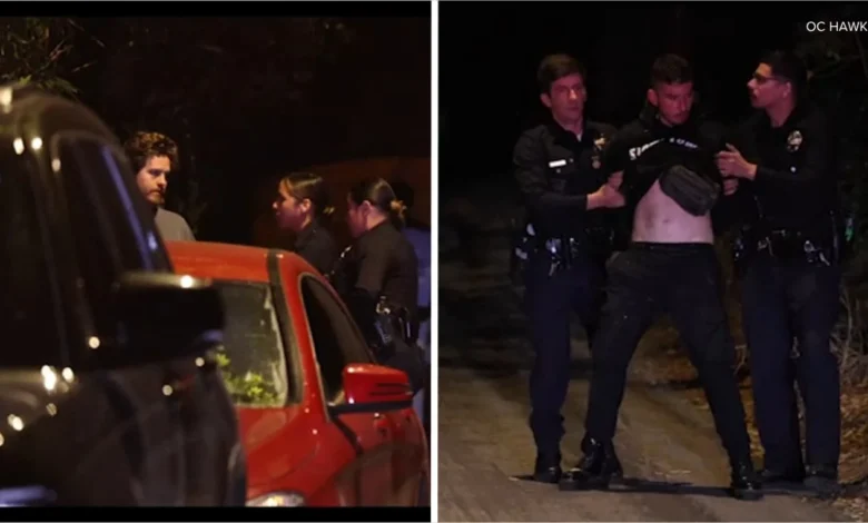 Trespassing incident at LA home of actor Dylan Sprouse prompts police response