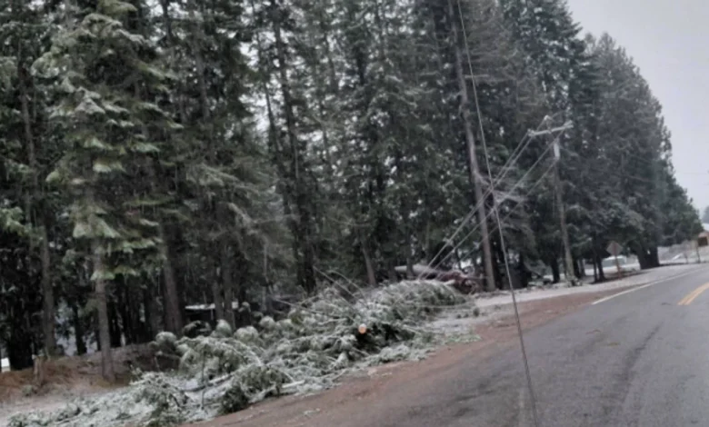 Trump approves major disaster declaration for 10 Idaho counties after Dec. windstorm