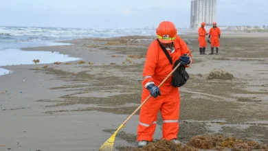 Trump's Endangered Species Committee exempts oil and gas drilling in the Gulf from rules