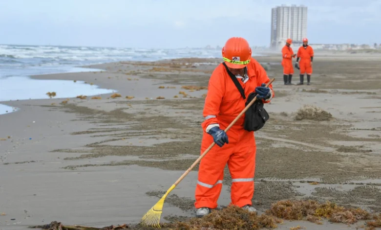 Trump's Endangered Species Committee exempts oil and gas drilling in the Gulf from rules