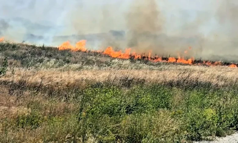 Two fires break out in Southern California in Santa Ana winds, triggering evacuations