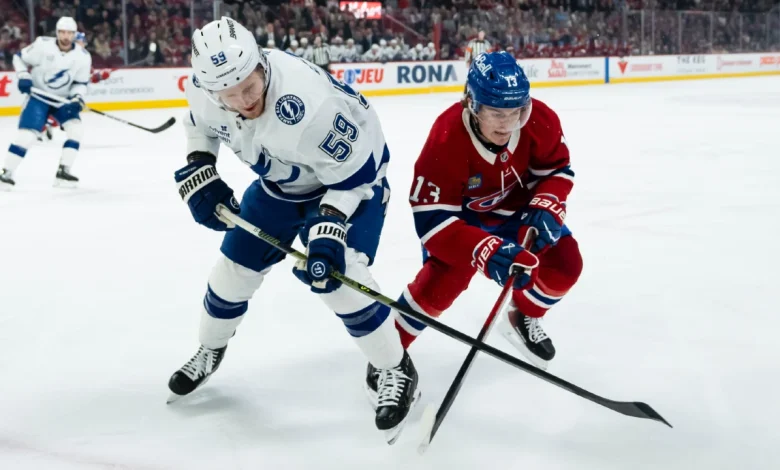 Two sentences about every Stanley Cup Playoff team