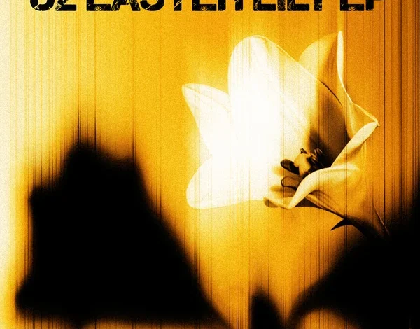 U2 > News > 'U2 - EASTER LILY'