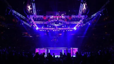 UFC 327: Procházka vs Ulberg Results