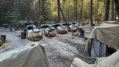 US officials killed in Mexico car crash following drug raid worked for the CIA, sources say