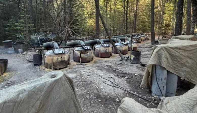 US officials killed in Mexico car crash following drug raid worked for the CIA, sources say