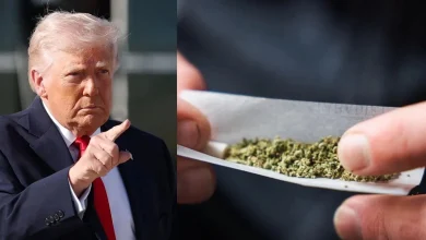 US set to move to reclassify marijuana as early as Wednesday, Axios reports