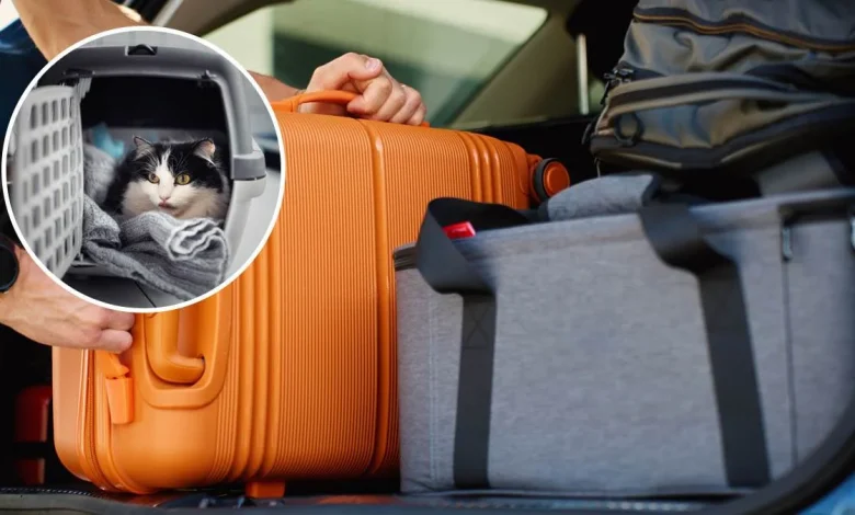 Ukida se Titar test: Srbija na listi EU, putovanja sa kućnim ljubimcima u inostranstvo biće jednostavnija