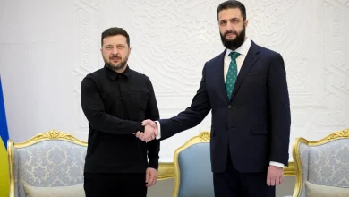 Ukraine and Syria to cooperate on security, Zelenskyy says