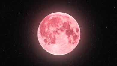 Une Pleine Lune Rose éclairera la nuit du 1er au 2 avril 2026 : ces 4 signes astrologiques seront les plus impactés