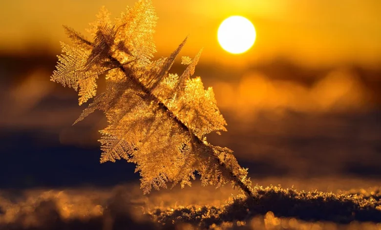 Unloved software stocks have their day in the sun