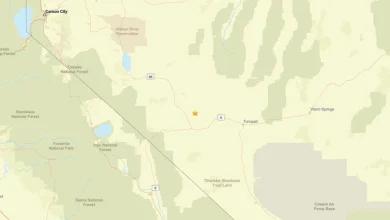 Update: Seismic activity on April 12 - 2.6 magnitude earthquake near Mina, NV recorded