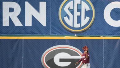 Updated SEC baseball standings after No. 1 goes down