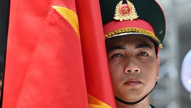 Vietnam's Israel defence ties complicate historic Palestinian solidarity