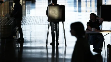 Virginia redistricting: The role of Klan images and Obama quotes