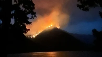 Washington declares statewide drought emergency as dismal snowpack threatens water supply