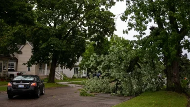Wayne County weather forecast Tuesday calls for a t-storm; breezy in the a.m.