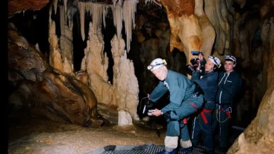 Werner Herzog on His 3D and IMAX 'Cave of Forgotten Dreams'