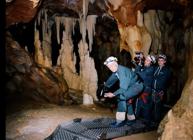 Werner Herzog on His 3D and IMAX 'Cave of Forgotten Dreams'