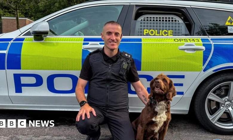 West Midlands Police shut 400 drug lines as 89 dealers jailed