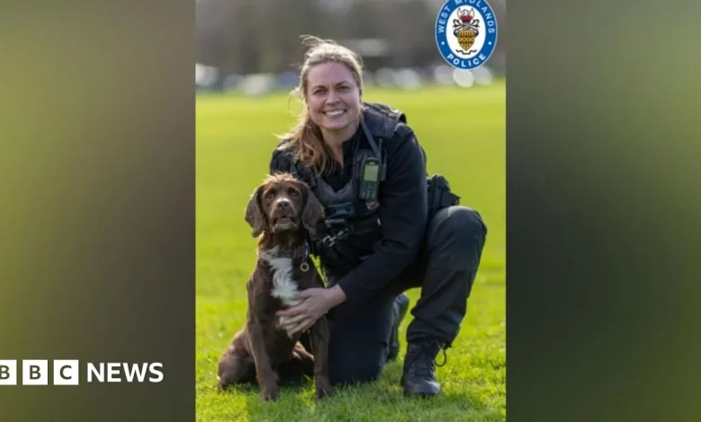 West Midlands Police's first 'digi dog' PD Chip retires